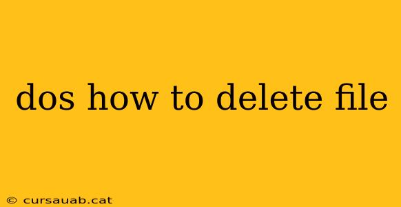 dos how to delete file