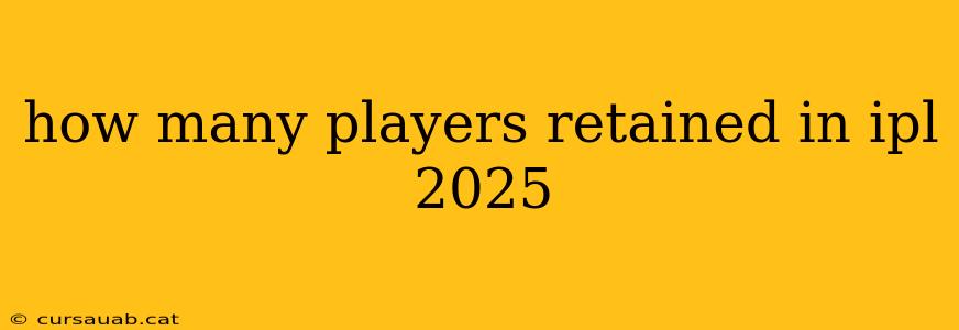 how many players retained in ipl 2025