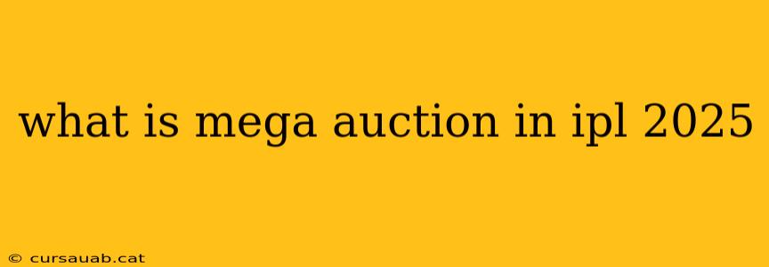 what is mega auction in ipl 2025