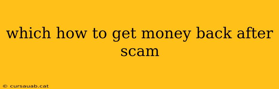 which how to get money back after scam